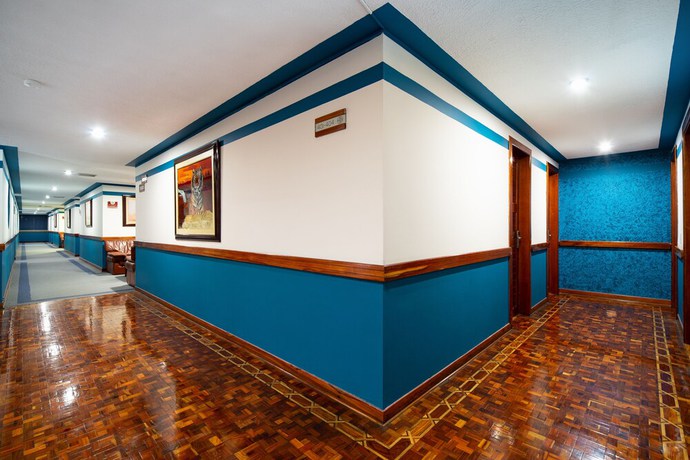 Imagen de los interiores del Hotel Don Saul. Foto 18