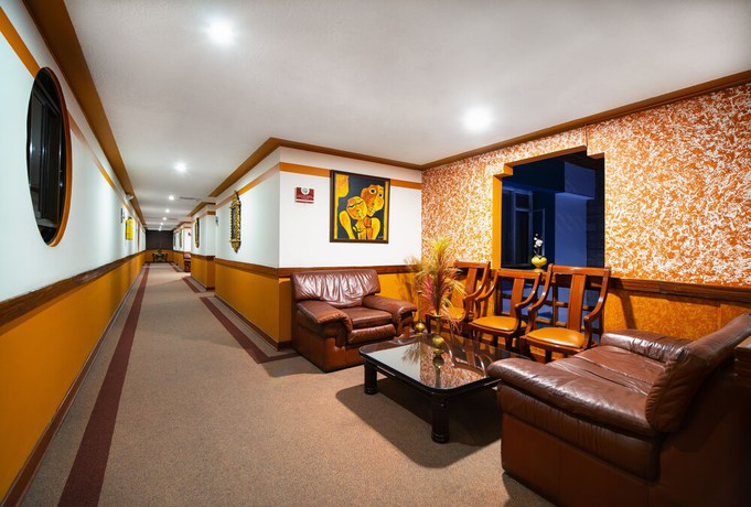 Imagen de los interiores del Hotel Don Saul. Foto 19