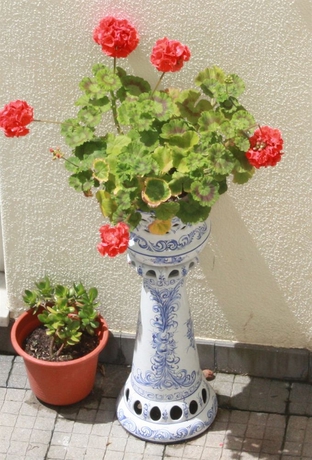 Imagen general del Hotel Dona Leonor. Foto 2