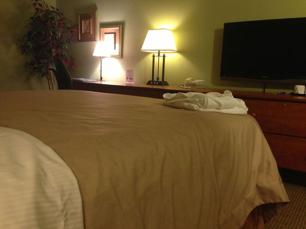 Imagen del bar/restaurante del Hotel Donald Gordon and Conference Centre. Foto 3