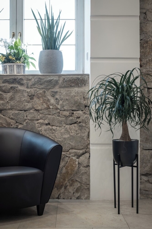 Imagen de los interiores del Hotel Donauhof, Deggendorf. Foto 18