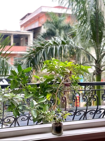 Imagen general del Hotel Dong A Plaza. Foto 7