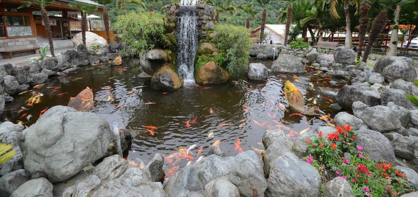 Imagen general del Hotel Dong Tair Spa. Foto 2