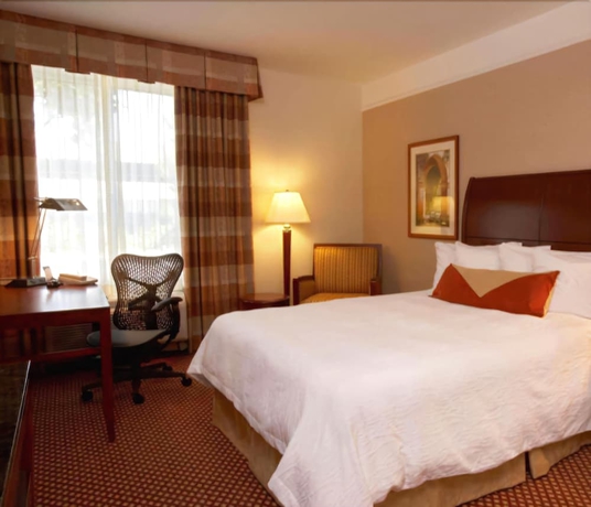 Imagen de la habitación del Hotel Dongfang. Foto 14