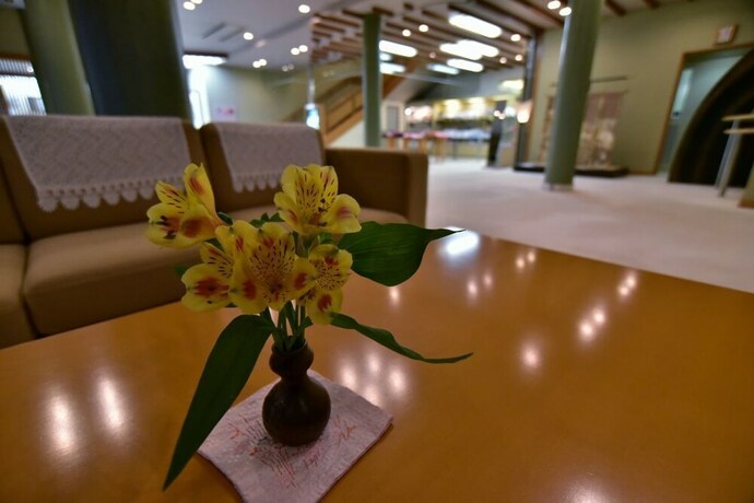 Imagen de los interiores del Hotel Donkairo. Foto 30