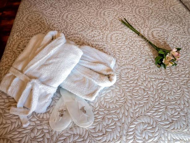 Imagen de la habitación del Hotel Doña Manuela, Daimiel. Foto 16