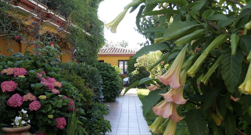 Imagen general del Hotel Do&ntilde;ana Blues, Matalasca&ntilde;as. Foto 1