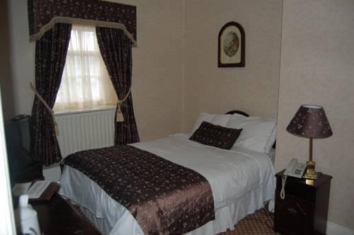 Imagen de la habitación del Hotel Dooly's. Foto 4