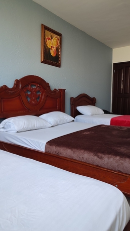 Imagen de la habitación del Hotel Dorado Barranquilla. Foto 2