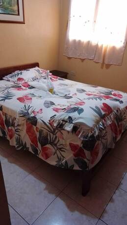 Imagen general del Hotel Dorado. Foto 9