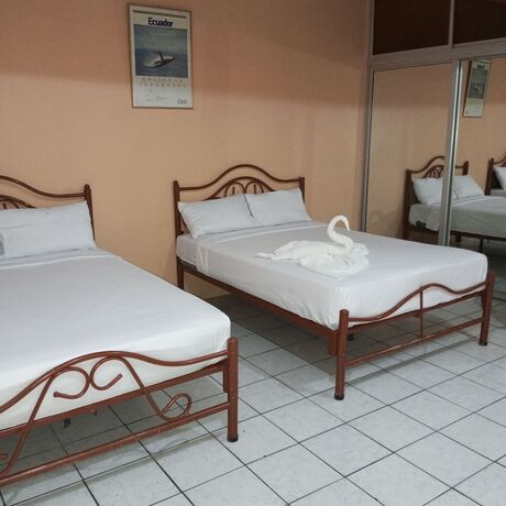 Imagen de la habitación del Hotel Dorado. Foto 17