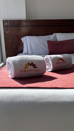 Imagen general del Hotel Dorado Gold. Foto 10