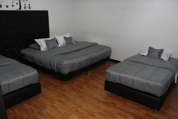 Imagen de la habitación del Hotel Dorado Plaza. Foto 4