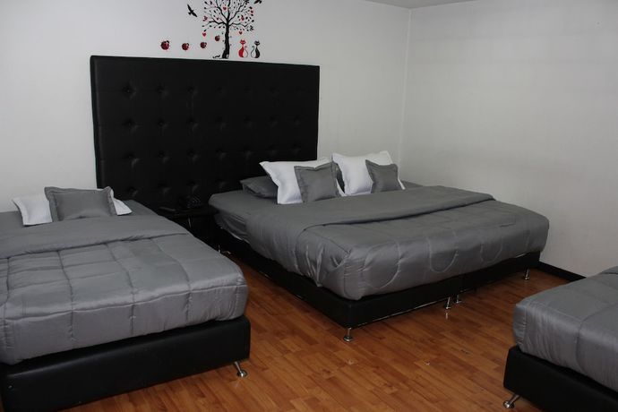 Imagen de la habitación del Hotel Dorado Plaza. Foto 14