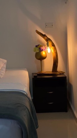 Imagen de la habitación del Hotel Dorado san luis. Foto 12