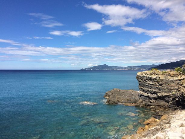 Imagen del bar/restaurante del Hotel Doria, Lavagna. Foto 5