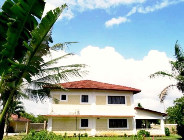 Imagen general del Hotel Doric Cottages Diani. Foto 4