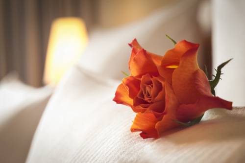 Imagen de la habitación del Hotel Dorint Strandresort and Spa Sylt/westerland. Foto 16