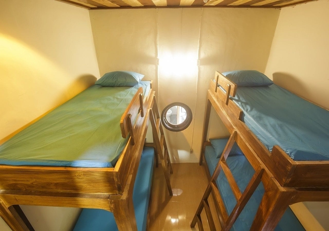 Imagen de la habitación del Hotel Dorme Tree. Foto 7