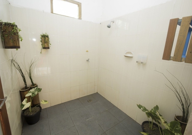Imagen de la habitación del Hotel Dorme Tree. Foto 13