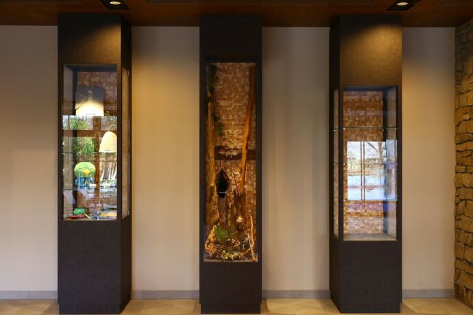 Imagen general del Hotel Dormy Inn Express Gotemba Hot Springs. Foto 9