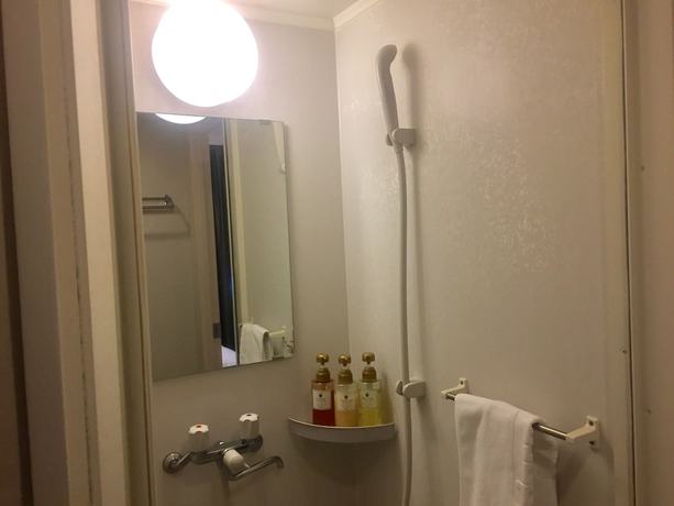 Imagen de la habitación del Hotel Dormy Inn Sendai Annex Natural Hot Spring. Foto 15