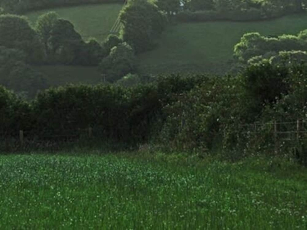 Imagen general del Hotel Dorset Farm. Foto 4