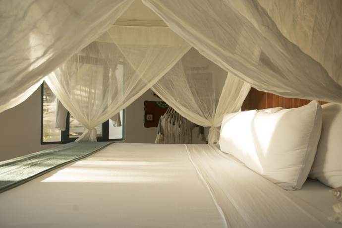 Imagen de la habitación del Hotel Dos Ceibas Tulum Feel Good. Foto 10