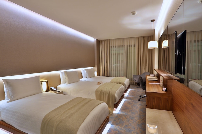 Imagen de la habitación del Hotel Dosso Dossi Hotels and Spa Downtown. Foto 14