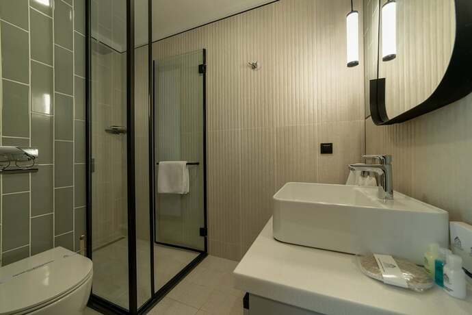 Imagen de la habitación del Hotel Dostyk Business. Foto 21