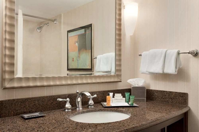 Imagen de la habitación del Hotel DoubleTree Newark Penn Station. Foto 5
