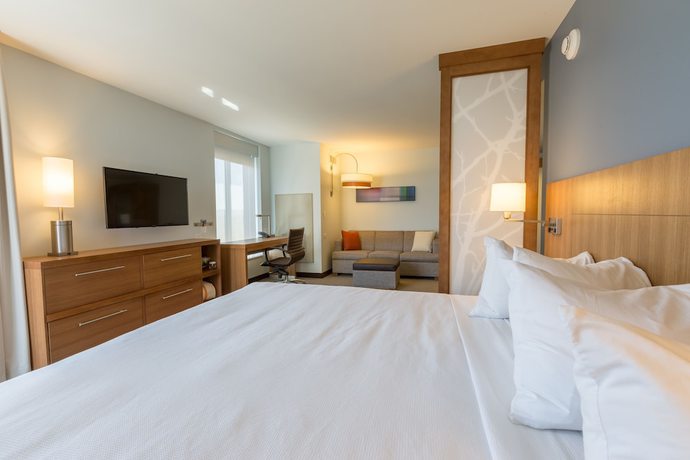 Imagen de la habitación del Hotel DoubleTree by Hilton Asheville Downtown. Foto 8