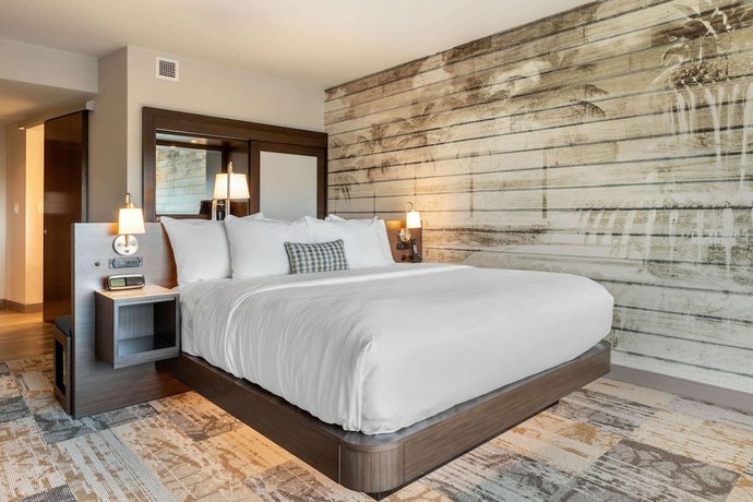 Imagen de la habitación del Hotel DoubleTree by Hilton Charleston Riverview. Foto 9