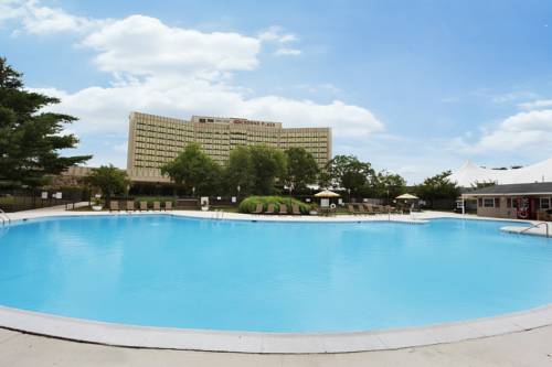 Imagen de la habitación del Hotel DoubleTree by Hilton Cherry Hill Philadelphia. Foto 3