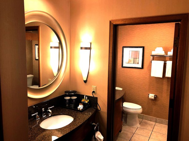 Imagen de la habitación del Hotel DoubleTree by Hilton Durango. Foto 7