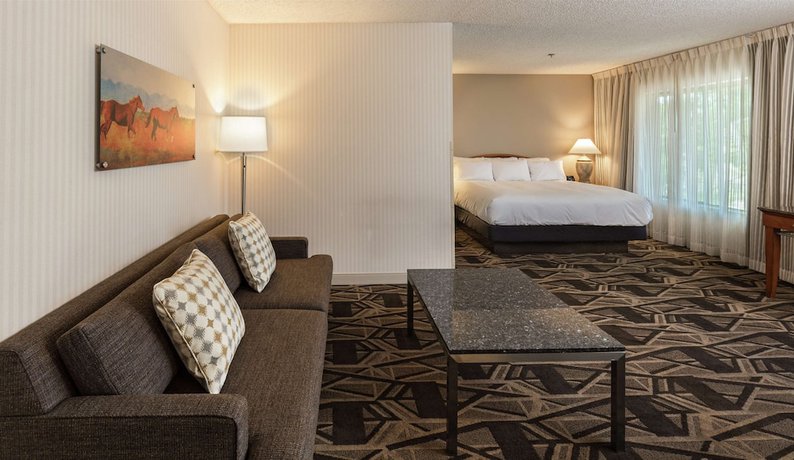 Imagen de la habitación del Hotel DoubleTree by Hilton Durango. Foto 19