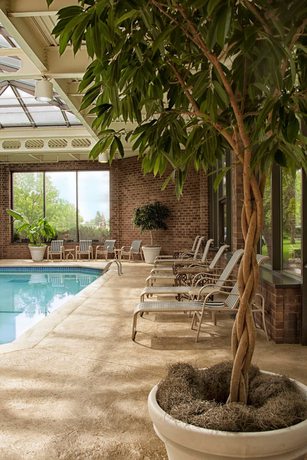 Imagen de la piscina del Hotel DoubleTree by Hilton Hotel Minneapolis North. Foto 20
