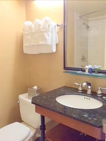 Imagen de la habitación del Hotel DoubleTree by Hilton New York JFK Airport. Foto 10