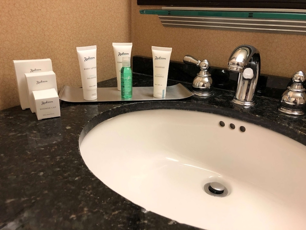 Imagen de la habitación del Hotel DoubleTree by Hilton New York JFK Airport. Foto 14