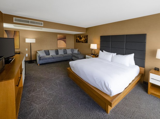 Imagen de la habitación del Hotel DoubleTree by Hilton Niagara Falls New York. Foto 3