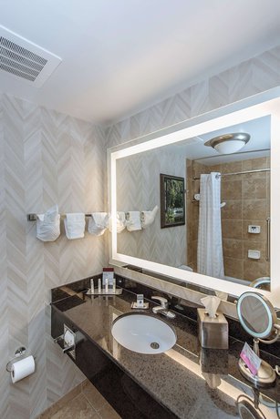 Imagen de la habitación del Hotel DoubleTree by Hilton North Charleston - Convention Center. Foto 8