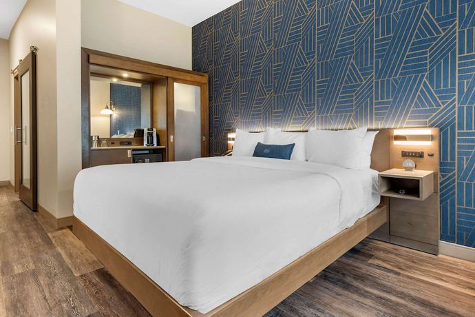 Imagen de la habitación del Hotel DoubleTree by Hilton Summerville Nexton. Foto 1