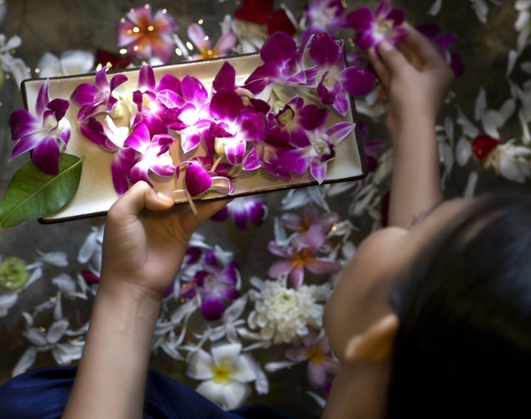 Imagen de los interiores del Hotel Doublepool Villas By Banyan Tree. Foto 14