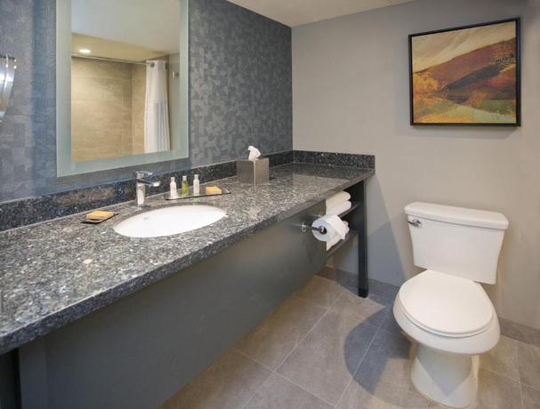 Imagen general del Hotel Doubletree By Hilton Chico. Foto 4