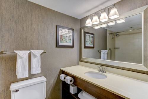 Imagen de la habitación del Hotel Doubletree By Hilton Columbus Dublin. Foto 6