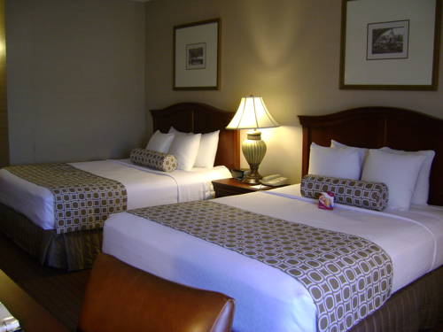 Imagen de la habitación del Hotel Doubletree By Hilton Columbus Dublin. Foto 12