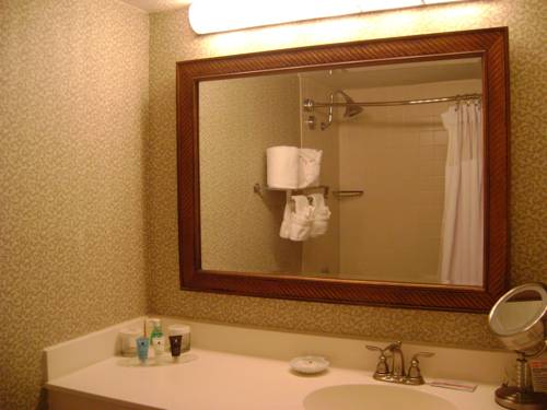 Imagen de la habitación del Hotel Doubletree By Hilton Columbus Dublin. Foto 13