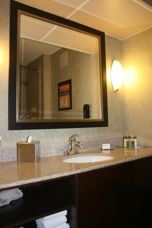 Imagen de la habitación del Hotel Doubletree By Hilton Houston Intercontinental Airport. Foto 5