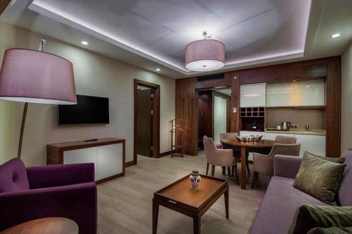 Imagen general del Hotel Doubletree By Hilton Istanbul Topkapi. Foto 12