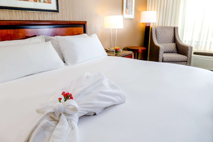 Imagen de la habitación del Hotel Doubletree By Hilton Las Vegas Airport. Foto 13